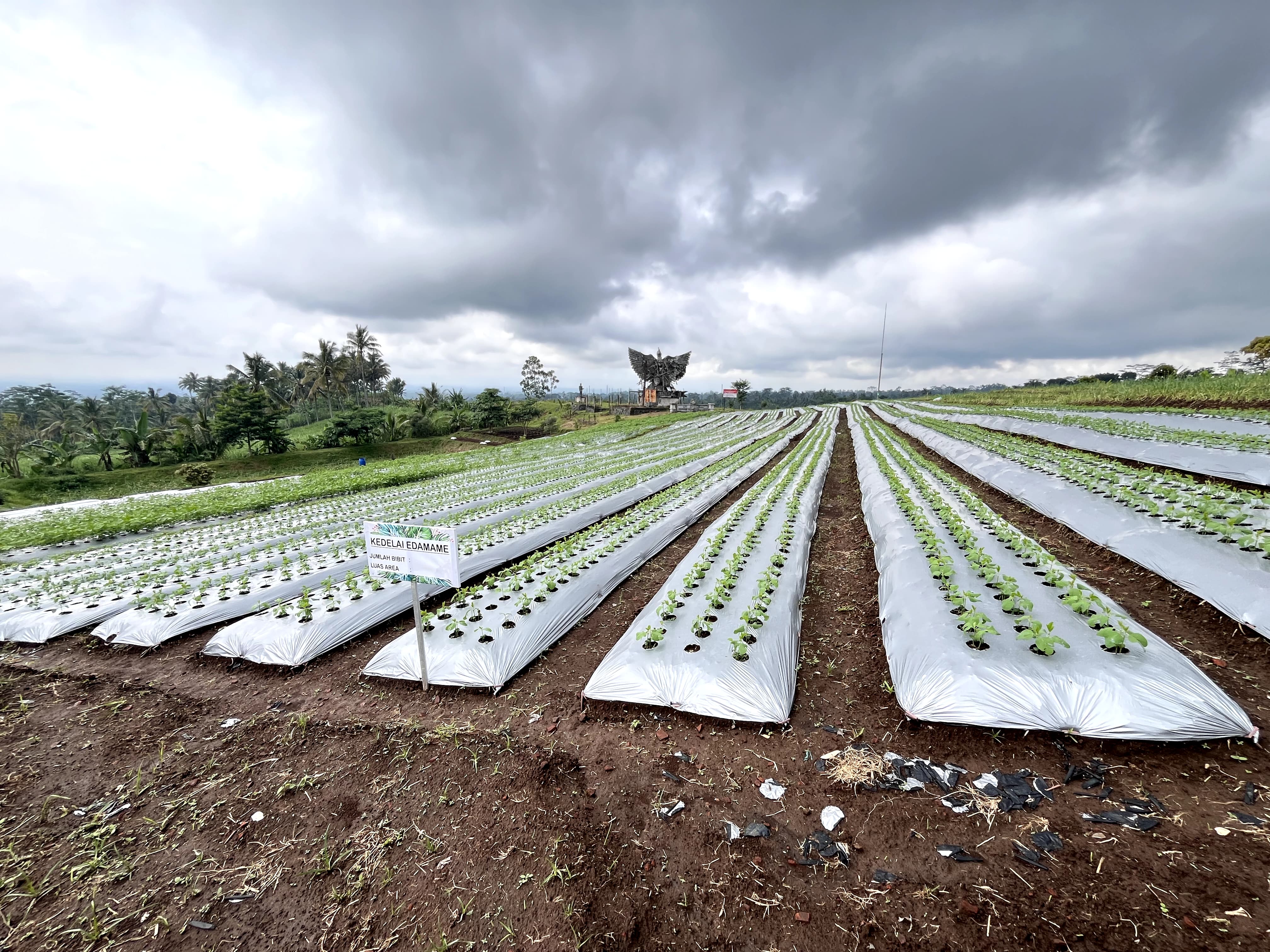 Pelatihan Agro Wisata