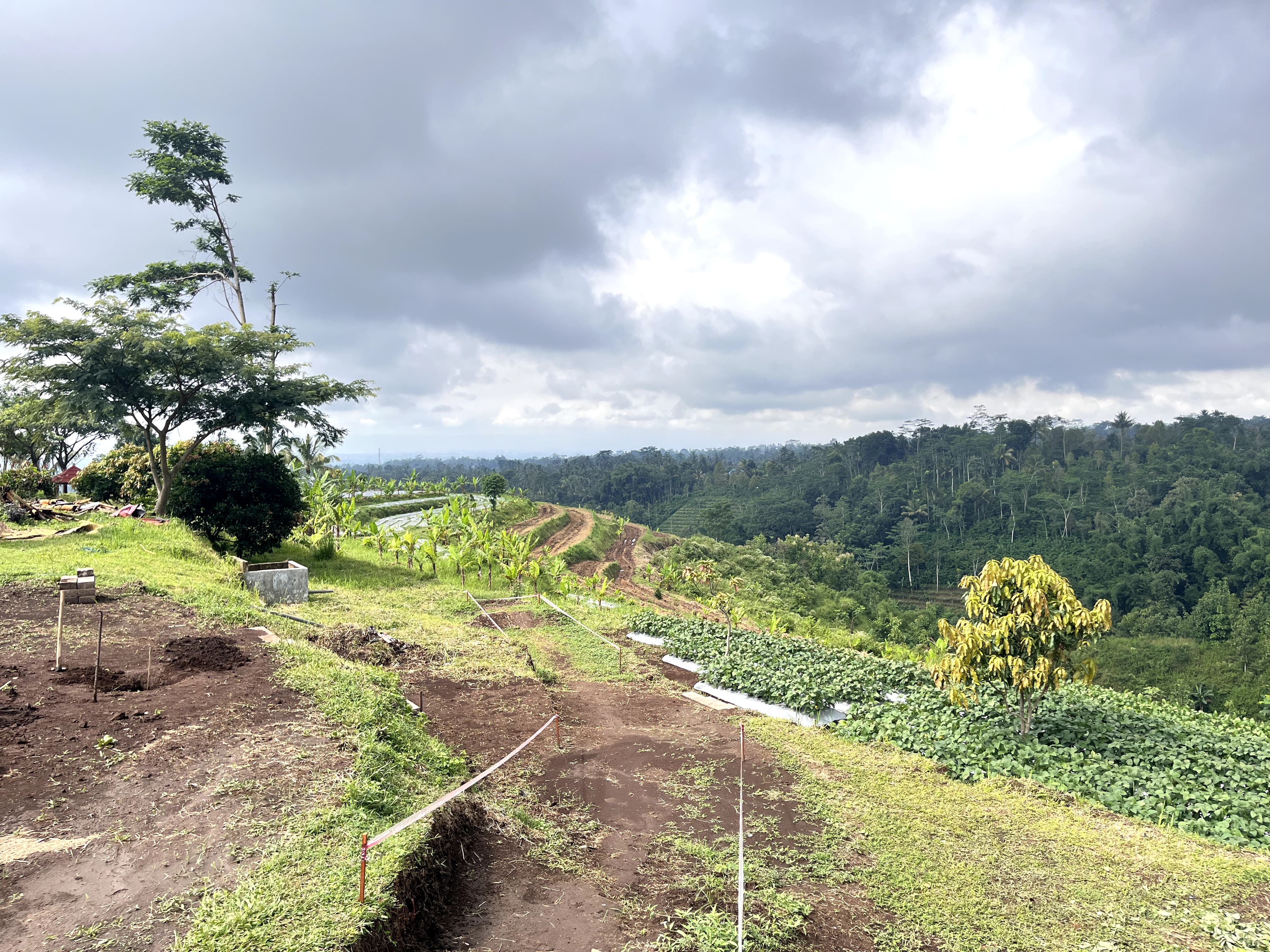 Pemandangan Alam